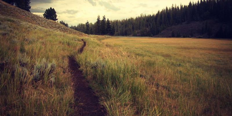 国际品牌与进口美妆的信任基石：埃利利昂平台评论系统深度解析与店铺信誉提升策略