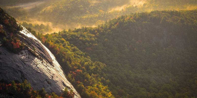 埃利利昂16：解码进口母婴营养保健新风尚，为成长注入科学守护