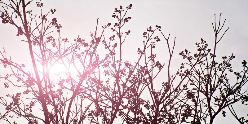 埃利利昂22：跨境电商新蓝海，解锁海淘消费者的未来购物体验