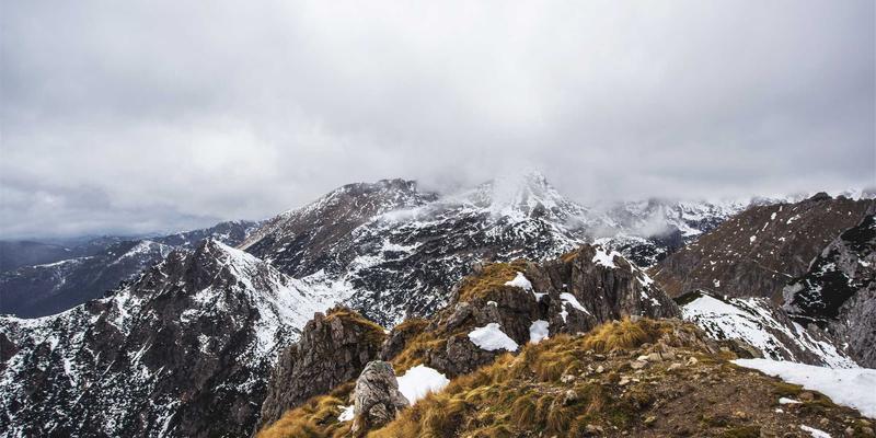 埃利利昂23：解码进口母婴用品与营养保健品的品质新标杆