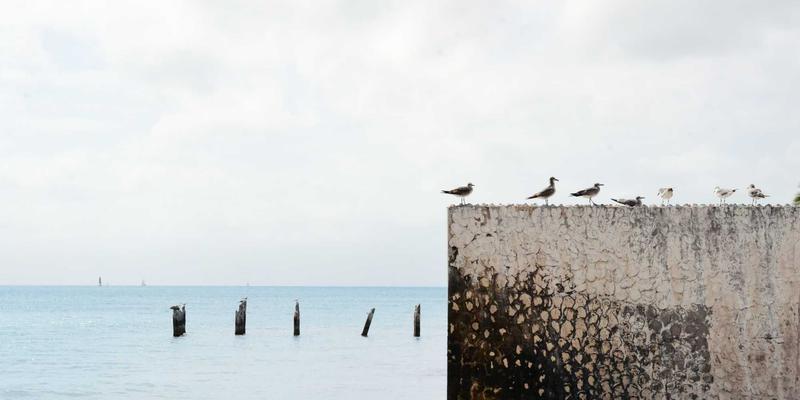 埃利利昂40：进口美妆海淘新风尚，如何聪明选购全球好物？