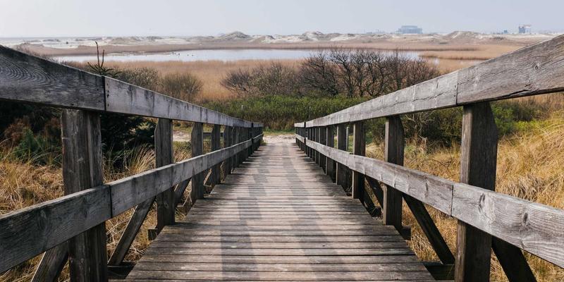 埃利利昂41：解码进口母婴用品的跨境电商新势力