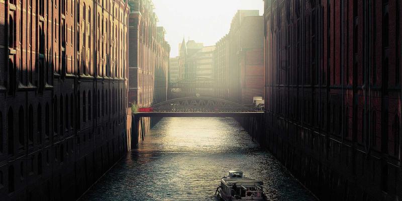 埃利利昂51：海淘新风潮下的高端营养保健品深度解析