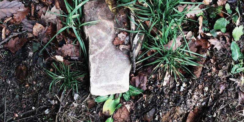 埃利利昂90：进口母婴海淘新风尚，如何为宝宝甄选国际优品