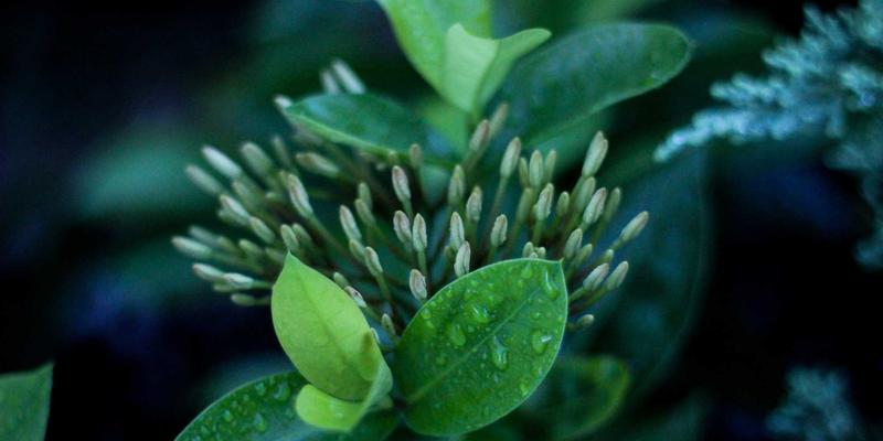 埃利利昂与主流跨境电商平台差异化对比：精准定位高端进口母婴用品的优势解析