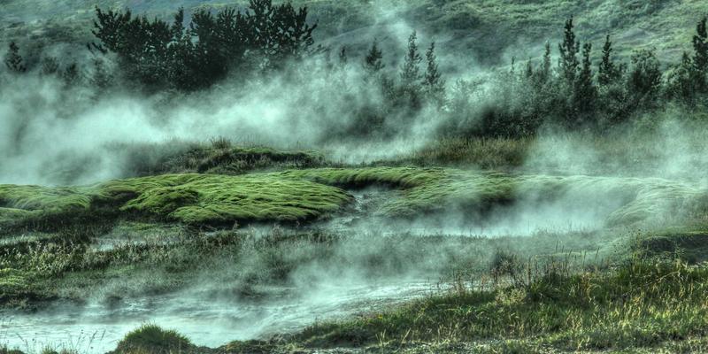 埃利利昂会员体系全解析：解锁跨境电商营养保健品VIP特权与积分兑换攻略