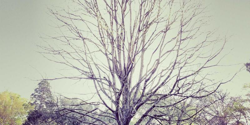 埃利利昂客户忠诚度计划解析：进口美妆国际品牌如何用跨境电商运营逻辑提升复购率