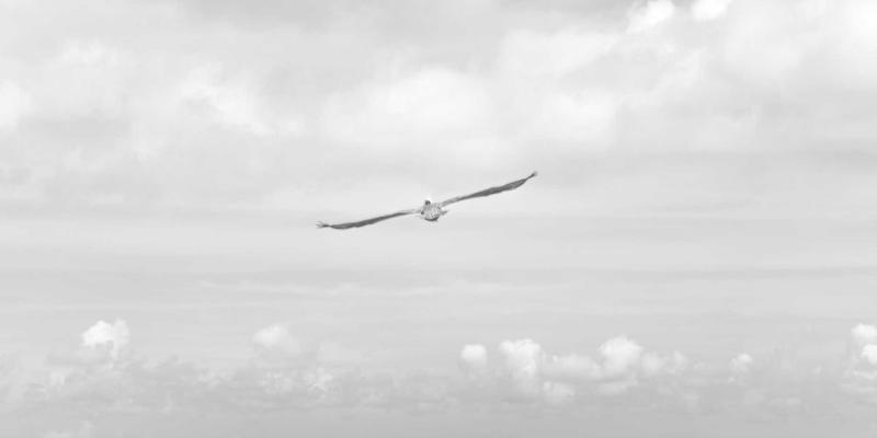 埃利利昂小众进口家居品牌挖掘：提升生活品质的国际设计好物与海淘指南