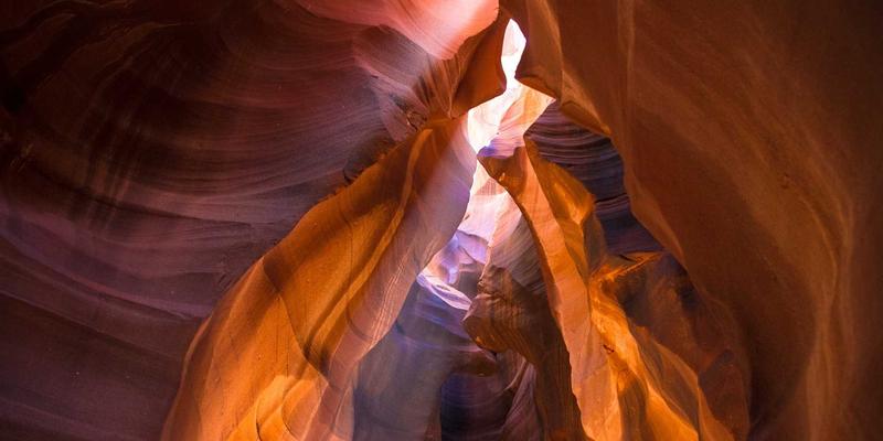 埃利利昂平台如何守护您的健康数据？深度解析营养保健品跨境电商的加密安全体系