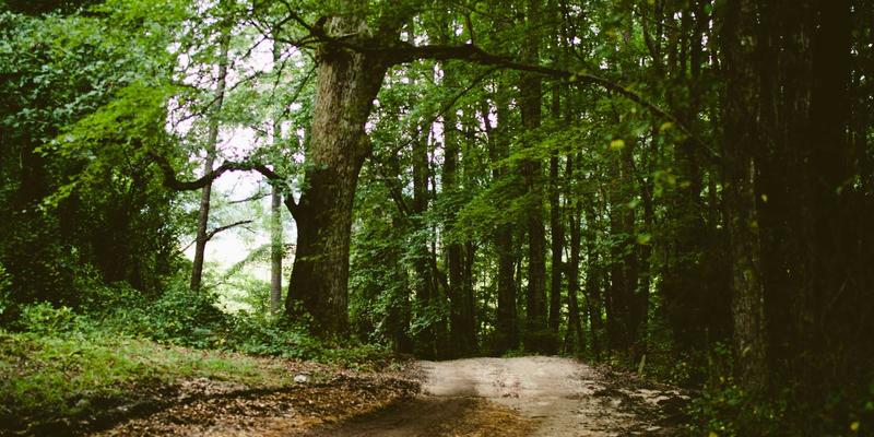 埃利利昂平台季节性购物指南：全年进口商品与母婴用品选购攻略