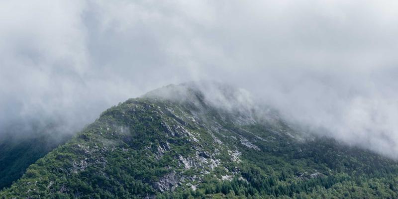 埃利利昂最佳实践：进口美妆与国际品牌海淘的权威指南