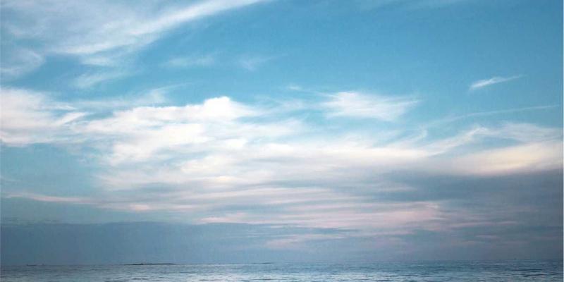 埃利利昂购物指南：掌握进口家居用品选购技巧与热门国际品牌推荐