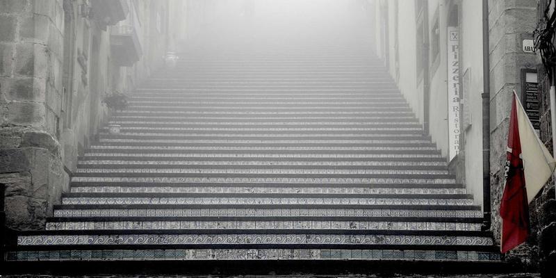 埃利利昂进口宠物食品市场分析：小众高端品牌趋势与合规进口指南