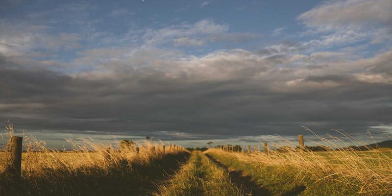 抢占海外市场先机：如何利用埃利利昂平台营销日历，提前布局进口保健品节日促销