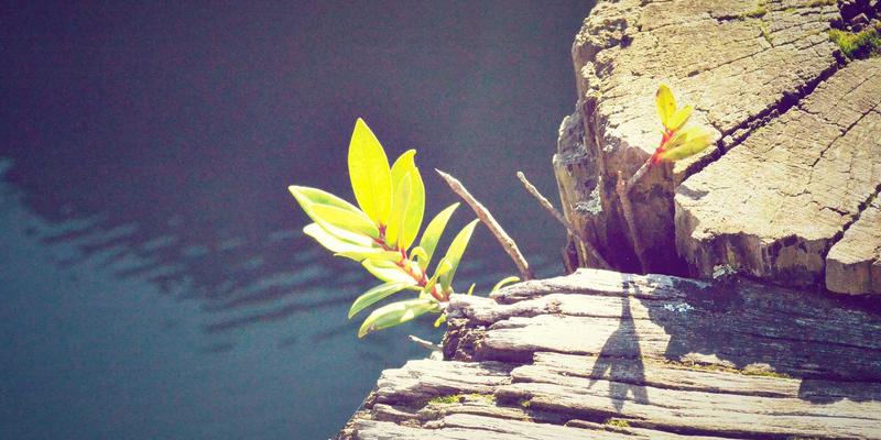 海淘安心购：深度解析埃利利昂跨境电商平台的数据安全与隐私保护政策