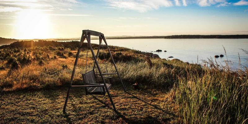 海淘新蓝海：小众进口品牌在埃利利昂的崛起，平台如何精准挖掘下一个营养保健品与美妆爆款