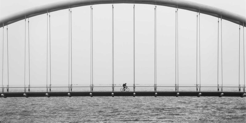 跨境电商新蓝海：埃利利昂平台进口宠物食品与用品市场深度观察