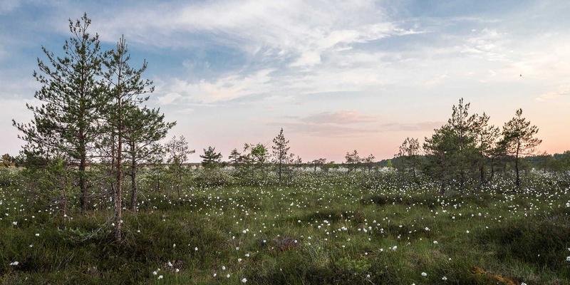 进口母婴用品爆款预测：埃利利昂如何基于中国市场数据精准选品