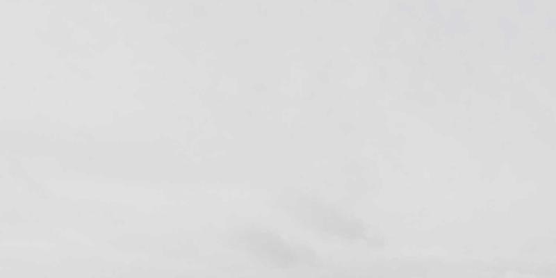 进口美妆直播新玩法：埃利利昂跨境直播电商如何用实时互动引爆海淘转化率